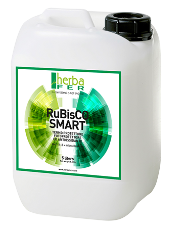 Concimi liquidi per prati Herbafer Rubisco SMART