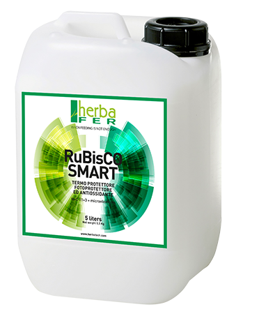 Concimi liquidi per prati Herbafer Rubisco SMART Concimi liquidi per prati Herbafer Rubisco SMART